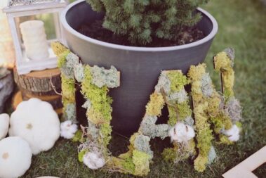 Florarie online, Buchete flori , Aranjamente flori , Magazin online de flori